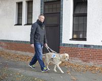 Ein Mann läuft mit seinem Blindenführhund auf dem gehsteig vor einem Haus