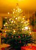 Bild eines geschmückten Weihnachtsbaums in einer Wohnung. Die Kerzen leuchten und erhellen den Raum.