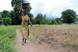 Flussblindheit – Blinde Frau mit Stock Eine blinde Frau hält mit der einen Hand eine große Schüssel mit Geschirr auf dem Kopf. In der anderen Hand hält sie einen großen Stock, um den Weg zu ertasten.