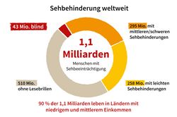 Kreisgrafik zu Sehbehinderung weltweit