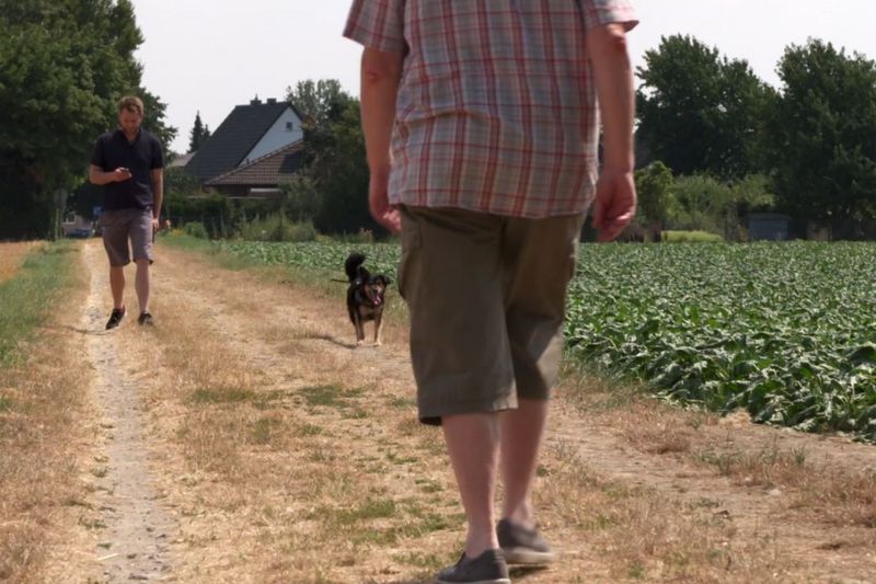 Auf einem Feldweg geht ein Mann einem anderem Mann mit Hund an der Leine entgegen. Der Hundebesitzer schaut auf sein Handy.