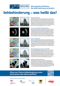 Abbildung des Simulationsplakats im Kleinformat