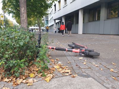 Ein E-Roller liegt auf einem breiten Gehweg neben einem Busch. Im Hintergrund gehen Fußgänger.