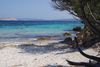 weißer Sandstrand, dahinter türkises Meer mit Schwimmern, im Hintergrund Berge, vorn rechts Busch und trockene Äste