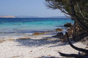 weißer Sandstrand, dahinter türkises Meer mit Schwimmern, im Hintergrund Berge, vorn rechts Busch und trockene Äste