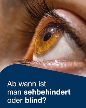 Das Startbild des Posts zeigt im oberen Bereich das Foto von einem Auge von der Seite. Es hat eine braune Iris und schwarze Wimpern. Der untere Teil ist dunkelblau abgesetzt. Darauf steht in weißer Schrift: „Ab wann ist man sehbehindert oder blind?“
